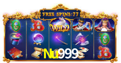 Interface Premium Nu999