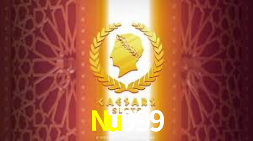 PIX Instantâneo Nu999